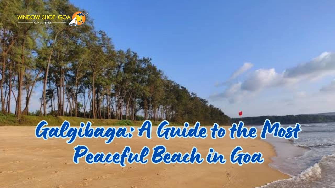 Galgibaga: A Guide to the Most Peaceful Beach in Goa